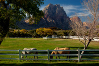 SPRING MOUNTAIN RANCH STATE PARK